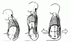 respirazione_addominale